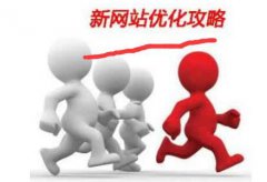 【南京seo】如何解决新站收录很多但是